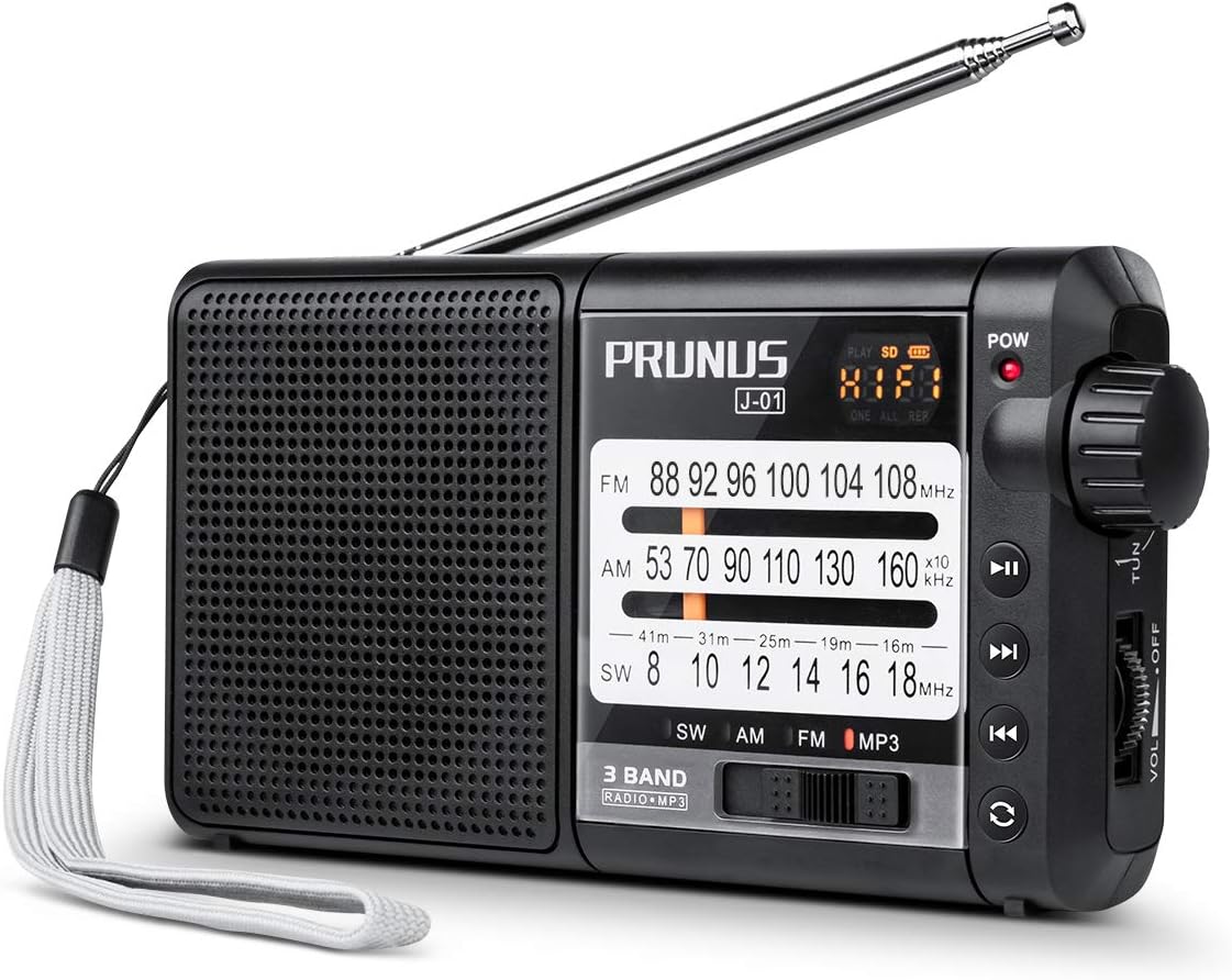Radio PRUNUS J01, Excellent Réception FM/AM(MW)/SW/Micro SD/MP3/WMA