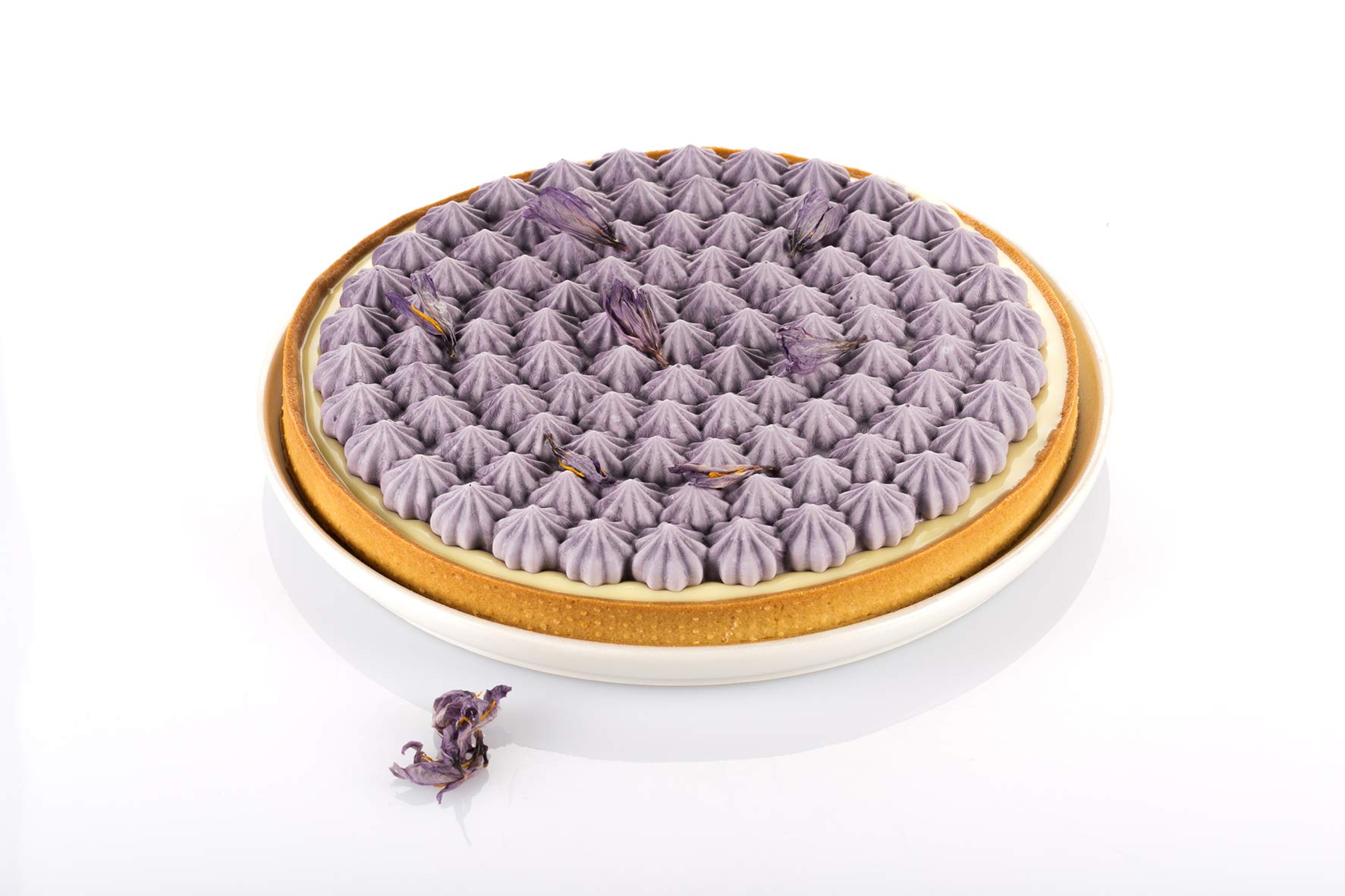 Silikomart Kit Tarte Meringué Mould, Non-Stick Plastic Material and Silicone, Grey