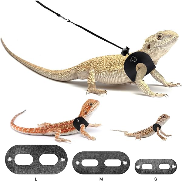 leopard gecko leash amazon