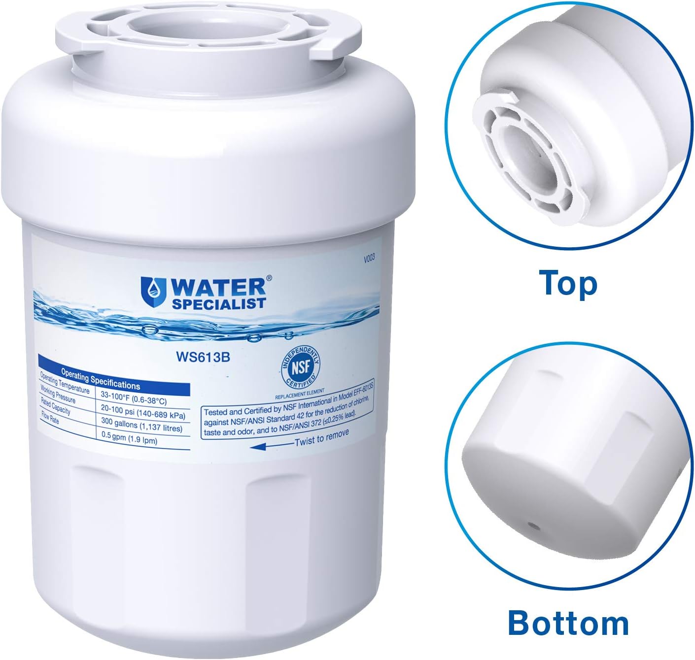 Waterspecialist MWF Refrigerator Water Filter, NSF Certified, Replacement for GE SmartWater MWFP, MWFA, GWF, HDX FMG-1, WFC1201, GSE25GSHECSS, PC75009, RWF1060, 197D6321P006 (Pack of 2): Home Improvement