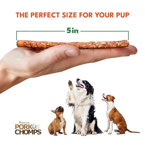 PORK CHOMPS DOG CHEWS, 5 INCH MUNCHY STICKS, 100 COUNT – ASSORTED FLAVORS: ROASTED PORK, CHICKEN, & BACON – LONG-LASTING TREATS FOR DOGS – HIGH PROTEIN, LOW FAT, HEALTHY & DELICIOUS CHEWS (1 PACK)