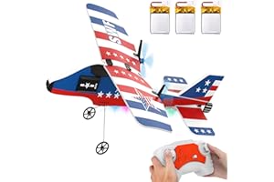 Toileum RC Plane, 2.4GHZ Remote Control Airplane with 3 Batteries & 6-axis Gyro Stabilizer, 2 Channel RTF RC Toy, Easy to Fly for Beginners Kids Boys Girls Adults (Blue)