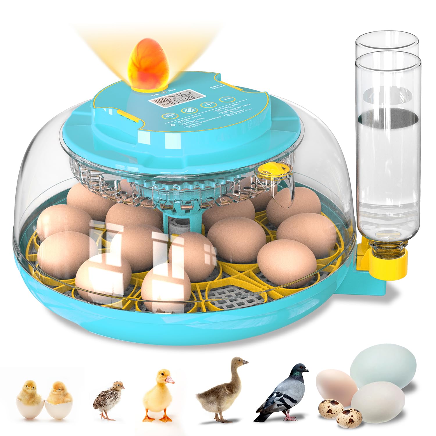 Photo 1 of Incubators for Hatching Eggs, 18 Eggs Incubator with Automatic Egg Turning and Temperature Humidity Control, Egg Candler with 360° Viewing for Home, Farm, Classroom, Hatching Chicken, Duck,Quail,Goose