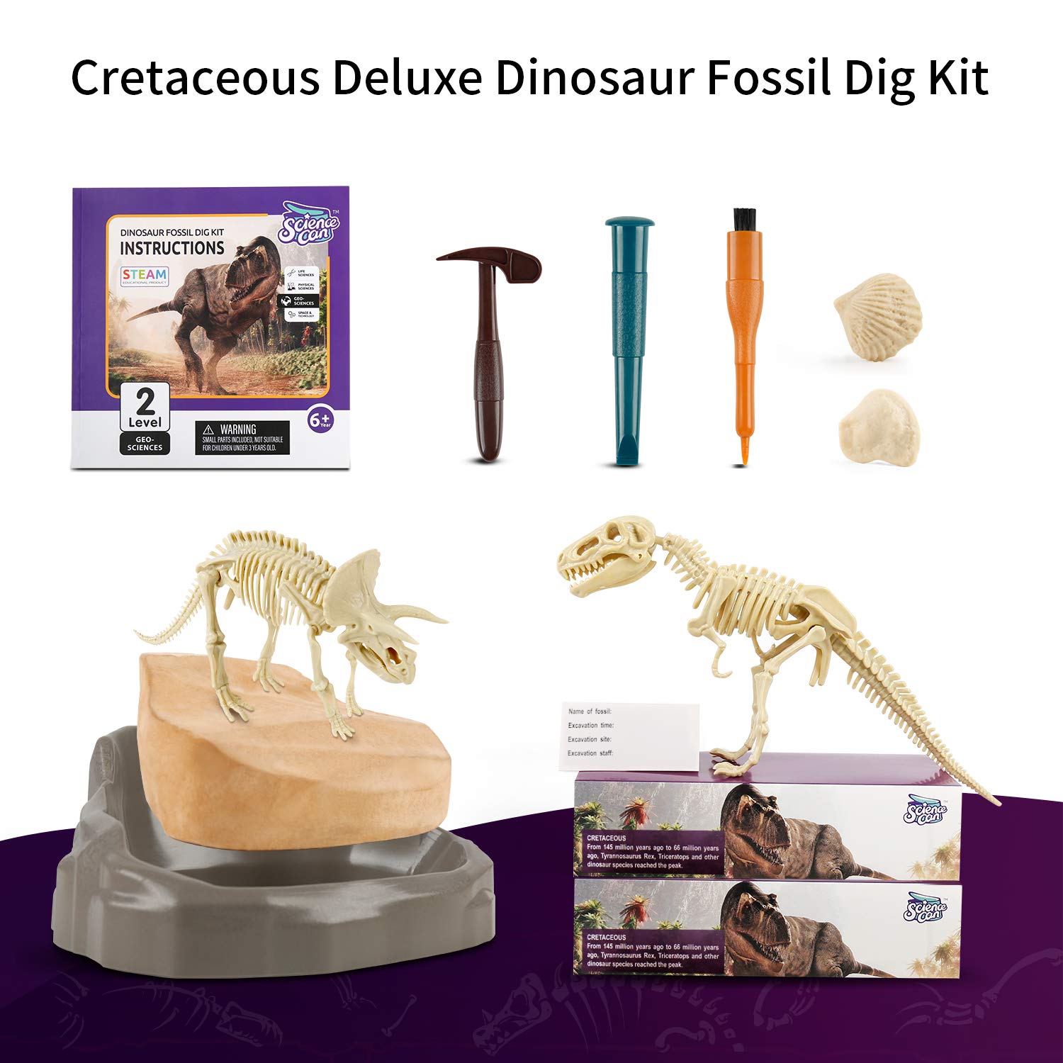 Mua Science Can Dinosaur Digging Fossil Kit for Kids, Dinosaur Bones ...