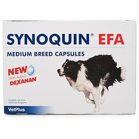 synoquin medium dog