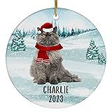Santa Hat and Scarf Welcome Winter Blue Tortie