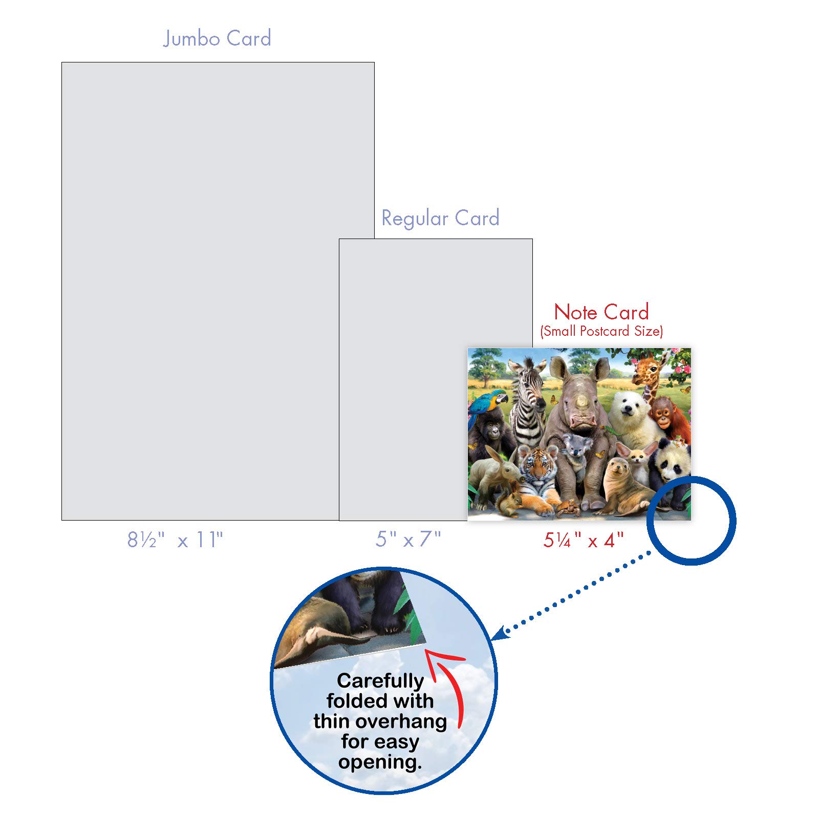 The Best Card Company - 10 Blank Animal Cards Box Set (4 x 5.12 Inch) - Bulk Assorted Pets, Horses, Wildlife Cards for Kids, Camp - Here's Looking at Zoo M6639OCB