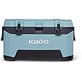 Igloo BMX Hard Coolers (25-72QT)