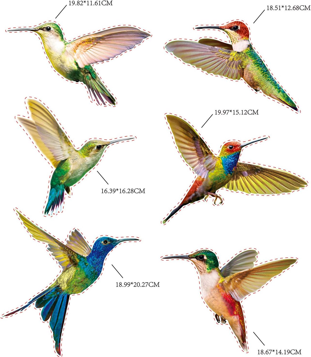 Blulu 18 Pieces Large Size Hummingbird Window Clings Anti-Collision Window Clings Decals to Prevent Bird Strikes on Casement Glass Non Adhesive - Image 3