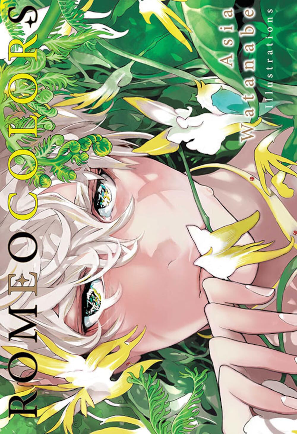 voir fiche du livre Romeo Colors Artbook