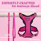 rabbitgoo Cat Harness and Lead Set Rose Red XS Adjustable Escape Proof view 7