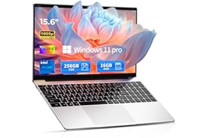 2026 15 6 Traditional