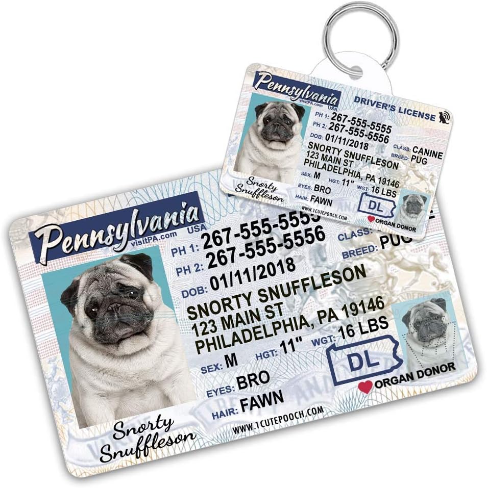 amazon dog tags for pets