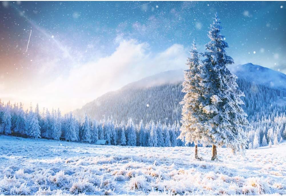 Amazon Com Baocicco 5x3ft Winter Landscape Backdrop White Snowscape Photography Background Snow Covered Forest Mountain Pine Trees Sunshine Wonderland Holiday Snow Scene Festival Party Portrait Camera Photo Amazon Com Baocicco 5x3ft Winter Landscape Backdrop White Snowscape Photography Background Snow Covered Forest Mountain Pine Trees Sunshine Wonderland Holiday Snow Scene Festival Party Portrait Camera Photo