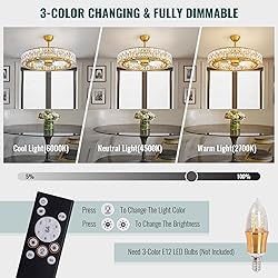 Siljoy 31.5'' Caged Ceiling Fan with Light and