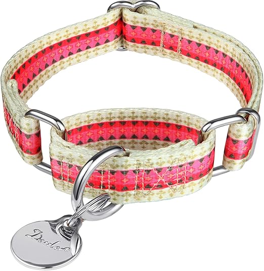 The Best Martingale Collars Product Review & Buying Guide