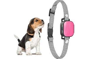 TRAINTAIL Bark Collar for Small Dogs 1408