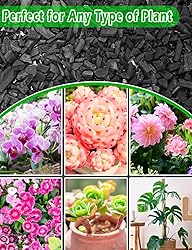 TOYPOPOR Horticultural Charcoal for Indoor Plants
