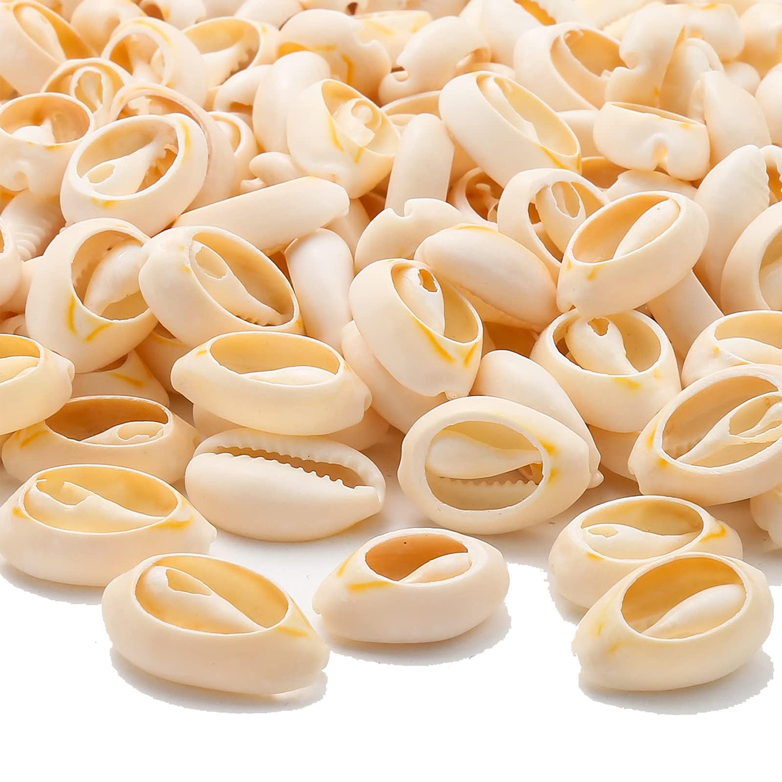 HERZWILD Shells 180 Pieces Craft Shells with Holes, Ideal for Crafts, Decoration or Jewellery Making (19-21 mm) โ image 1