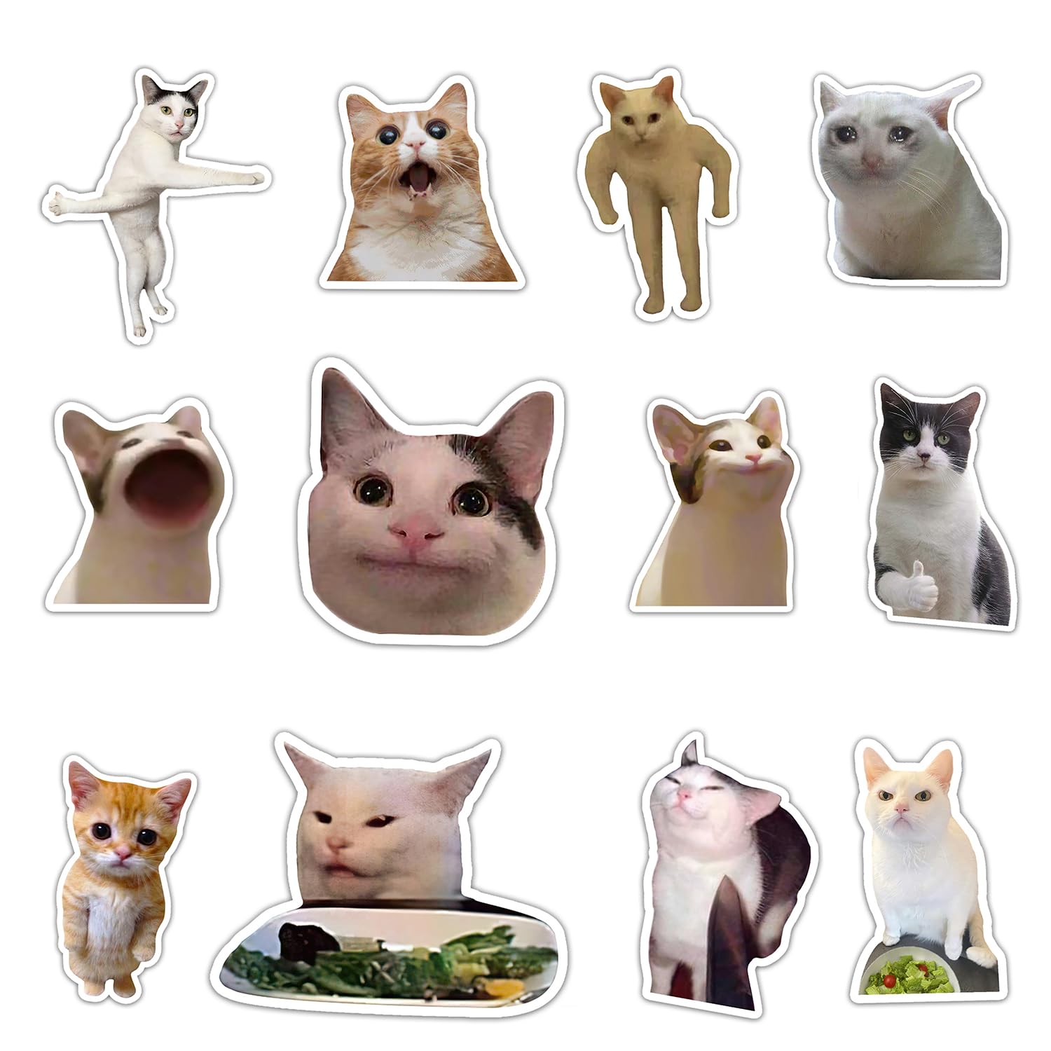 GTOTd Funny Cat Fridge Magnet（12 Packs, MEME Merch Cartoon Decoartions Bumper Decal Metal Flexible Reuseable Vinyl Magnetic Decor Teens