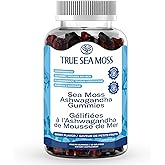Ashwagandha Gummies for Women & Men – Vegan Herbal Blend with Sea Moss, Bladderwrack & Burdock, 60 Gummies in Pouch (30-Day S