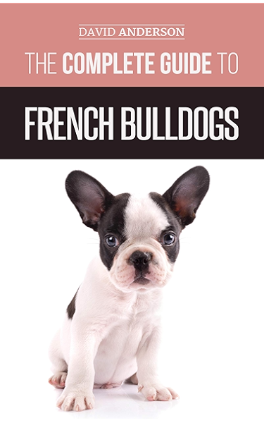 french bulldog trade me