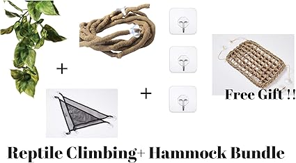 Bearded Dragon And Iguana Cage Kit Bearded Dragon Hammock Reptile