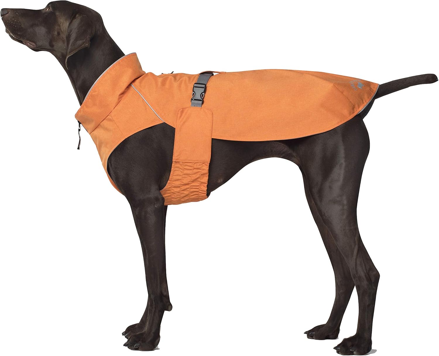 Pooch Canada Vest Dog Pullover WaterResistant Raincoat Dog