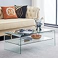 SMARTIK Clear Coffee Table, Modern 2-Layer Storage Waterfall Tempered Glass Coffee Tables for Living Room, Easy to Clean and Safe Rounded Edges 19.7" D x 39.4" W x 13.8" H