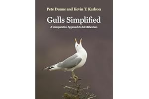 Gulls Simplified: A Comparative Approach to Identification