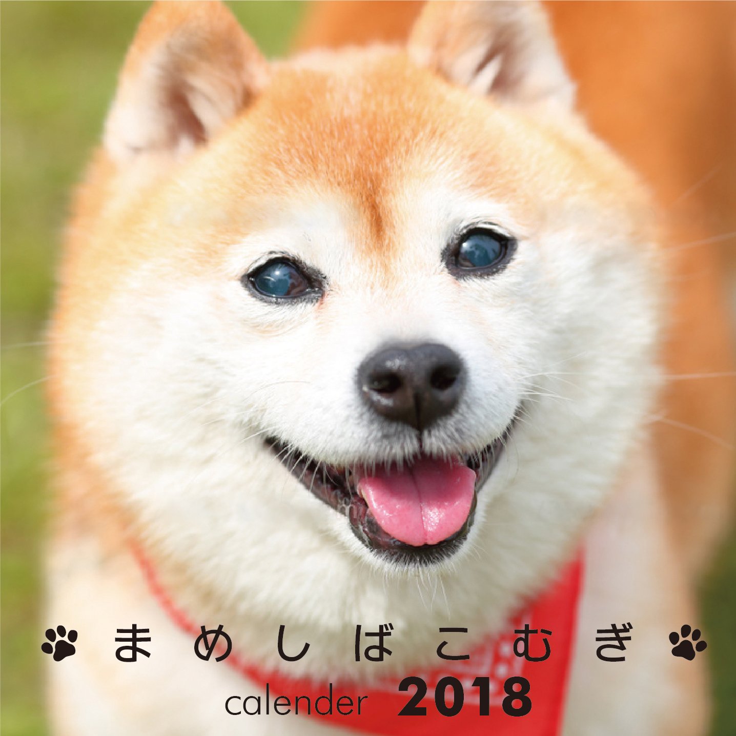 Amazon Co Jp まめしばこむぎカレンダー18 カレンダー 文房具 オフィス用品