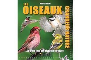 Les oiseaux grandeur nature - Le grand livre des oiseaux du Québ