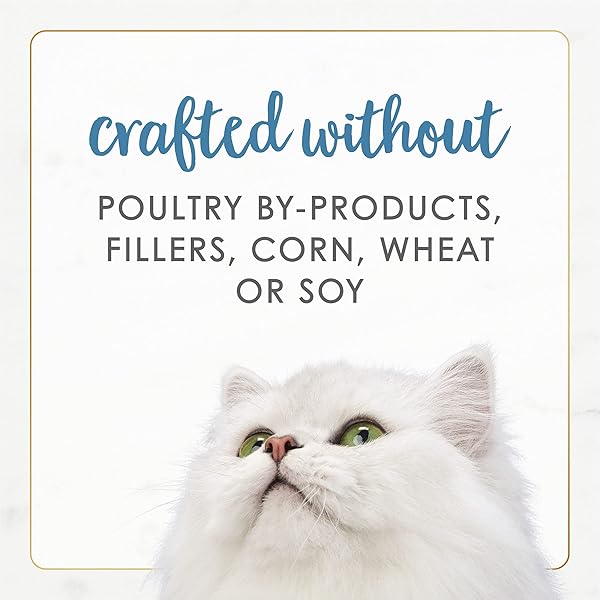 PURINA FANCY FEAST GRAIN FREE WET CAT FOOD PATE GOURMET NATURALS TROUT AND TUNA RECIPE – (PACK OF 12) 3 OZ. CANS