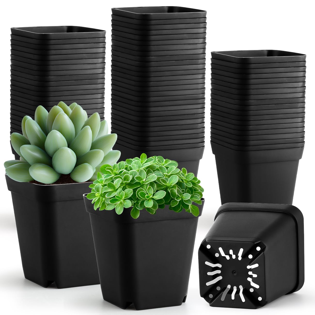 RooTrimmer 100 Pack Plant Nursery Pots 3.15 Inch, Durable Square Seedling Pots with Drainage Holes, Reusable Small Plastic Flower Pots for Seed Starting, Transplanting, Herb Garden Image