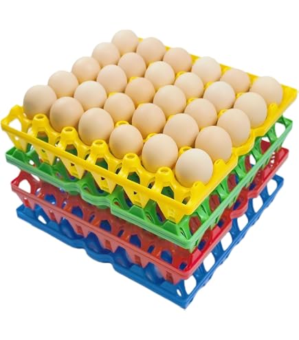 SOLUSTRE 15pièces Plateau De Mousse Pour Œufs Boîte Quakeproof Pour Œufs De Caille Sans Carton Blanc