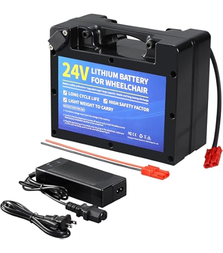 Amazon.com: smallemon and Sincebron Lithium-ion Battery 24V