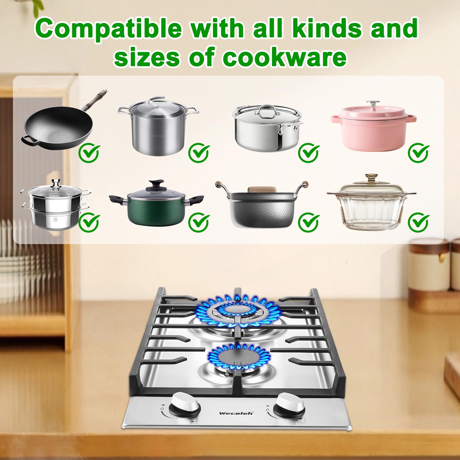 Gas Cooktop 2 Burners Built-in Gas Stove Top,LPG/NG Dual Fuel Continuous Grates,Auto Ignition,Thermocouple Protection,Stainless Steel,Heavy Duty Cast Iron 120V (12 inch)