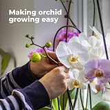Grow Buddha Orchid Potting Mix 2L - Fast Growth, Strong Roots view 7