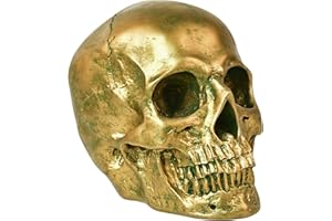 SEKKVY Resin Human Gold Skull Statues Halloween Decor Skeleton Outdoor Human Skull Model Golden Home Decoration (Non-Removable)