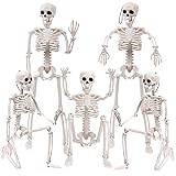 XIMISHOP 5pcs Halloween Skeleton