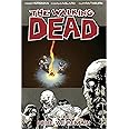 The Walking Dead Volume 9: Here We Remain