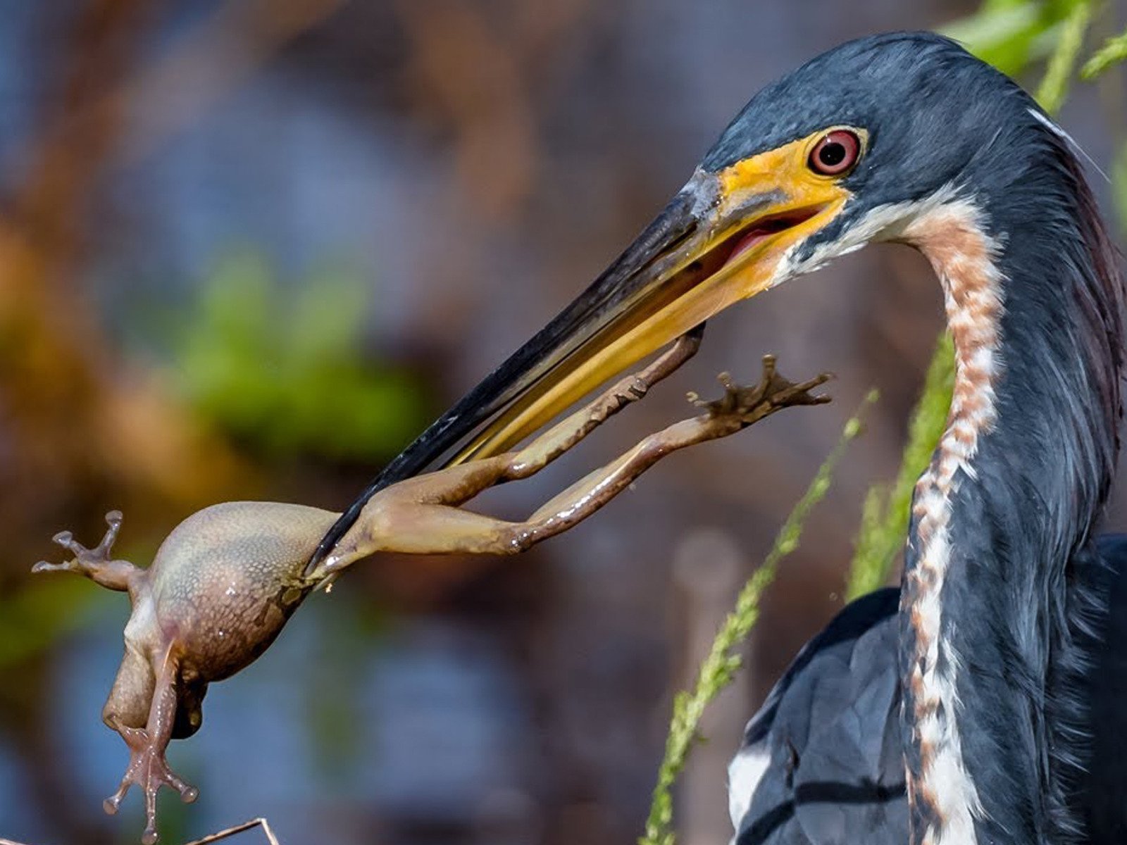 Watch Mark Smith Photography Prime Video