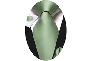 Hi-Tie Ties for Men Paisley Mens Tie Set Wedding Formal Business Striped Tie Sets