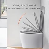 Pipishell Soft Close Toilet Seat with Quick Release Grey O Shape view 3