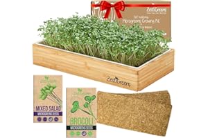 ZESTIGREENS Self-Watering Microgreens Growing Kit – Easiest Way to Grow Fresh Microgreens at Home. Includes Reusable Tray, Organic Seeds, Grow Mats & Stylish Bamboo Frame – No Soil, No Mess (Salad & Broccoli)