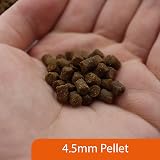 NT Labs Pro-f Axolotl Adult Pellets 165g Sinking Amphibian Food view 3