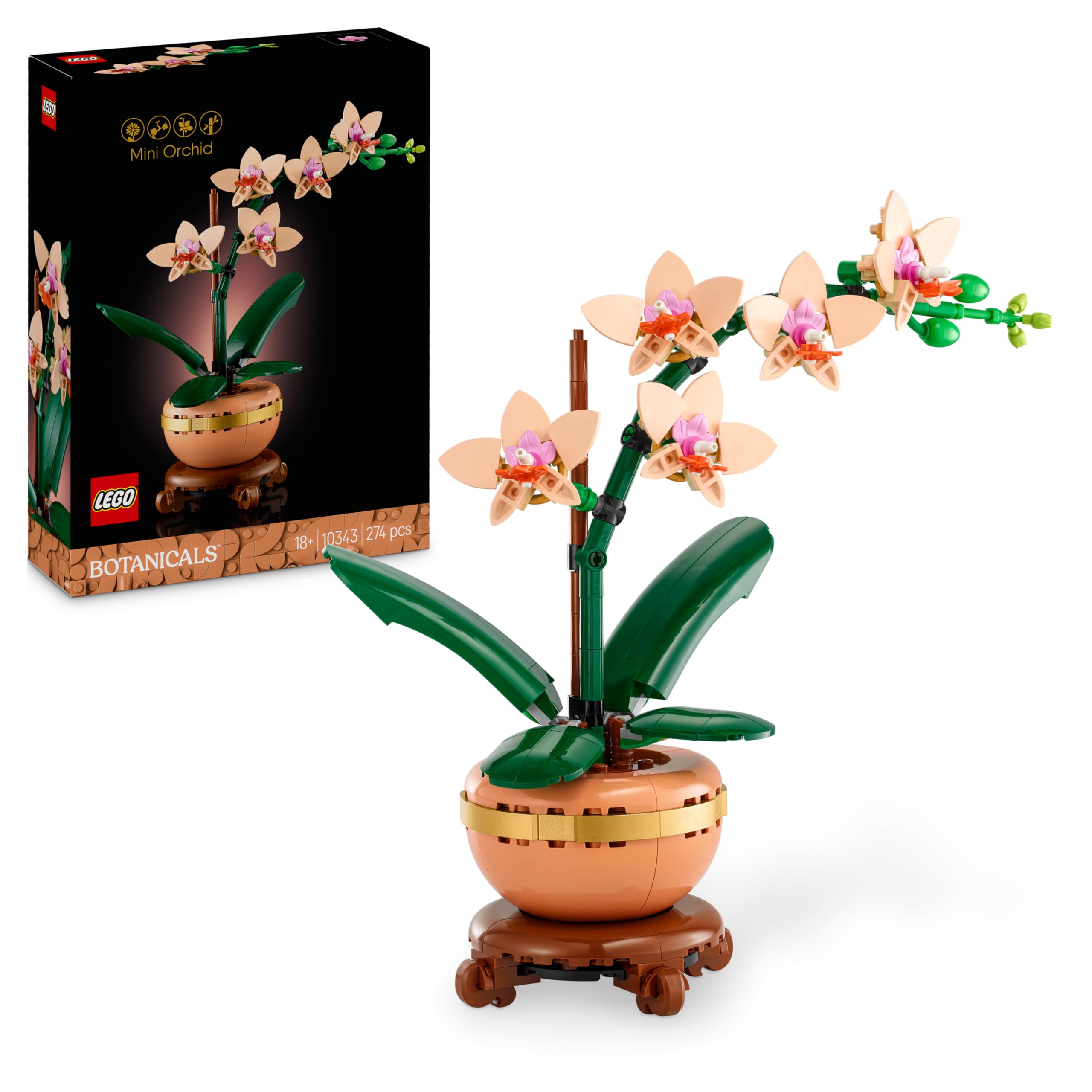 LEGO Botanicals Mini-Orchidee - Set mit Kunstblumen für Erwachsene - Zimmerpflanze mit Blumentopf im Terrakotta-Stil - DIY Geschenkidee zum Geburtstag - 10343