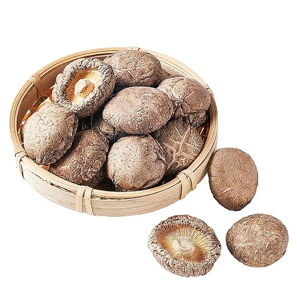 ORGANIC NATURAL DRIED MUSHROOMS – PREMIUM FLAVORS |GRADE EXTRA DRY MUSHROOMS FOR SOUPS, SAUCES, PASTA AND RISOTTO, REHYDRATE QUICKLY, ALL NATURAL & VEGAN | 8 OZ