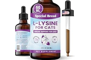 Special Breed L-Lysine for Cats & Kittens – Immune, Respiratory & Eye Health Support – Liquid Cat Supplement with Astragalus, Burdock, Atractylodes, Dangshen & Vitamins A, B1, B2, B6 – 2oz (60mL)
