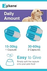 Zylkene Calming Supplements for Large Dogs 450mg 20 Capsules view 6